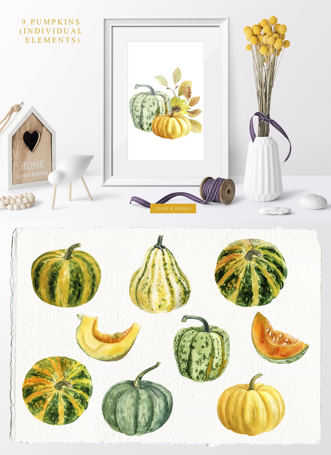 Pumpkin plant and picture.