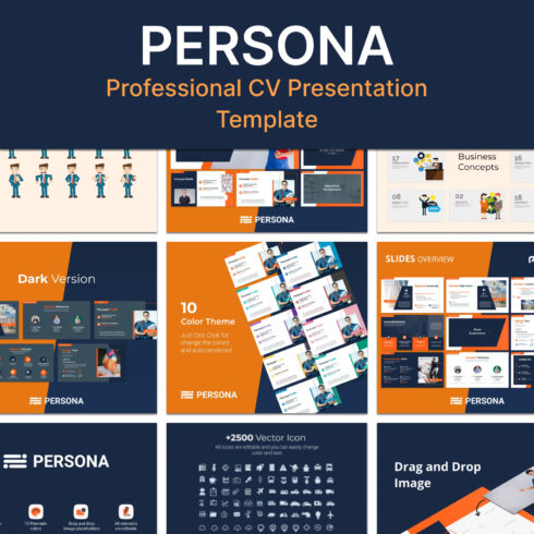 Prints of professional cv presentation template.