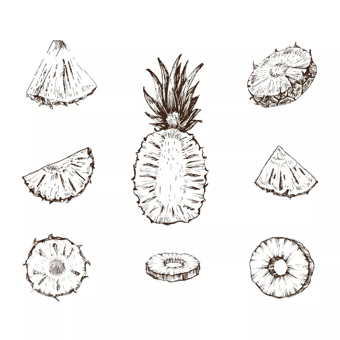 Pineapple SVG Bundle Preview 3.
