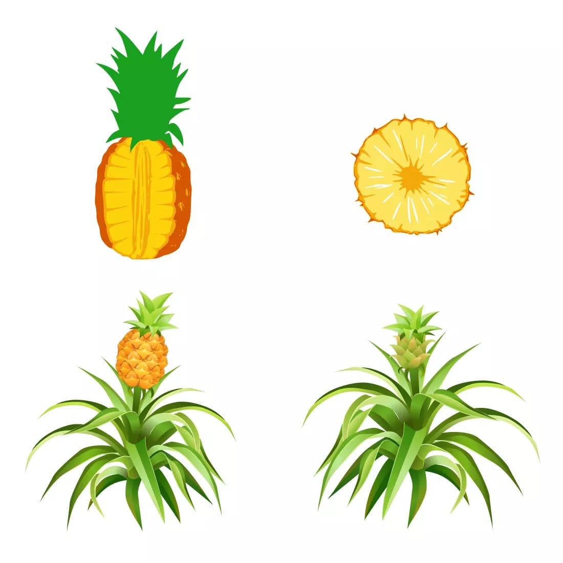 Pineapple SVG Bundle Preview 4.