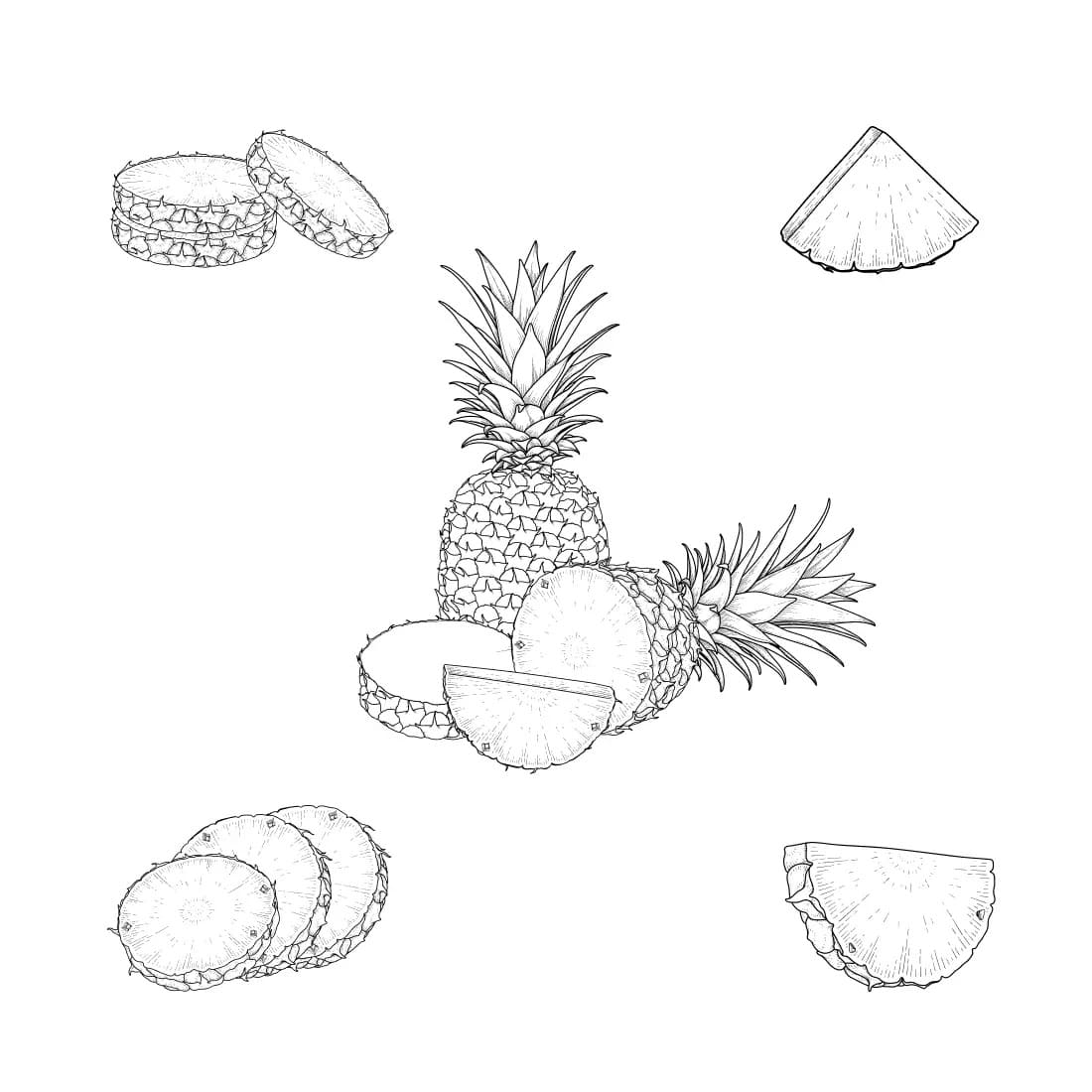 Pineapple SVG Bundle Preview 6.