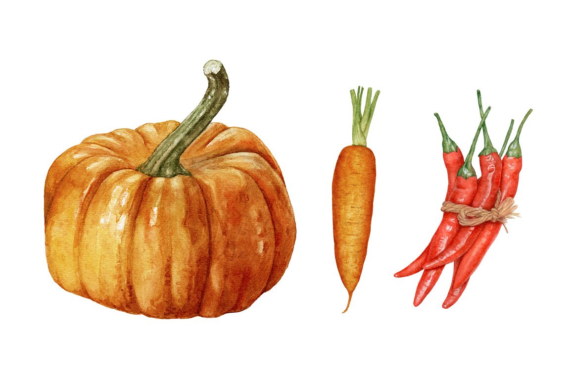 Various vegetables on a white background.
