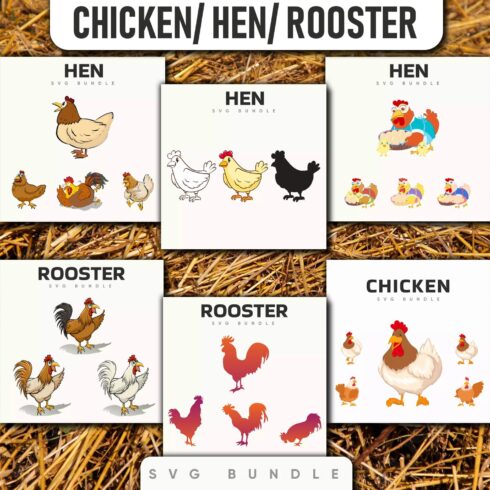 Rooster Chicken SVG Bundle 1500 1500 1.
