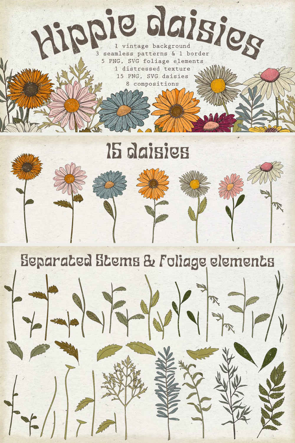 Set of svg png retro daisies of pinterest.