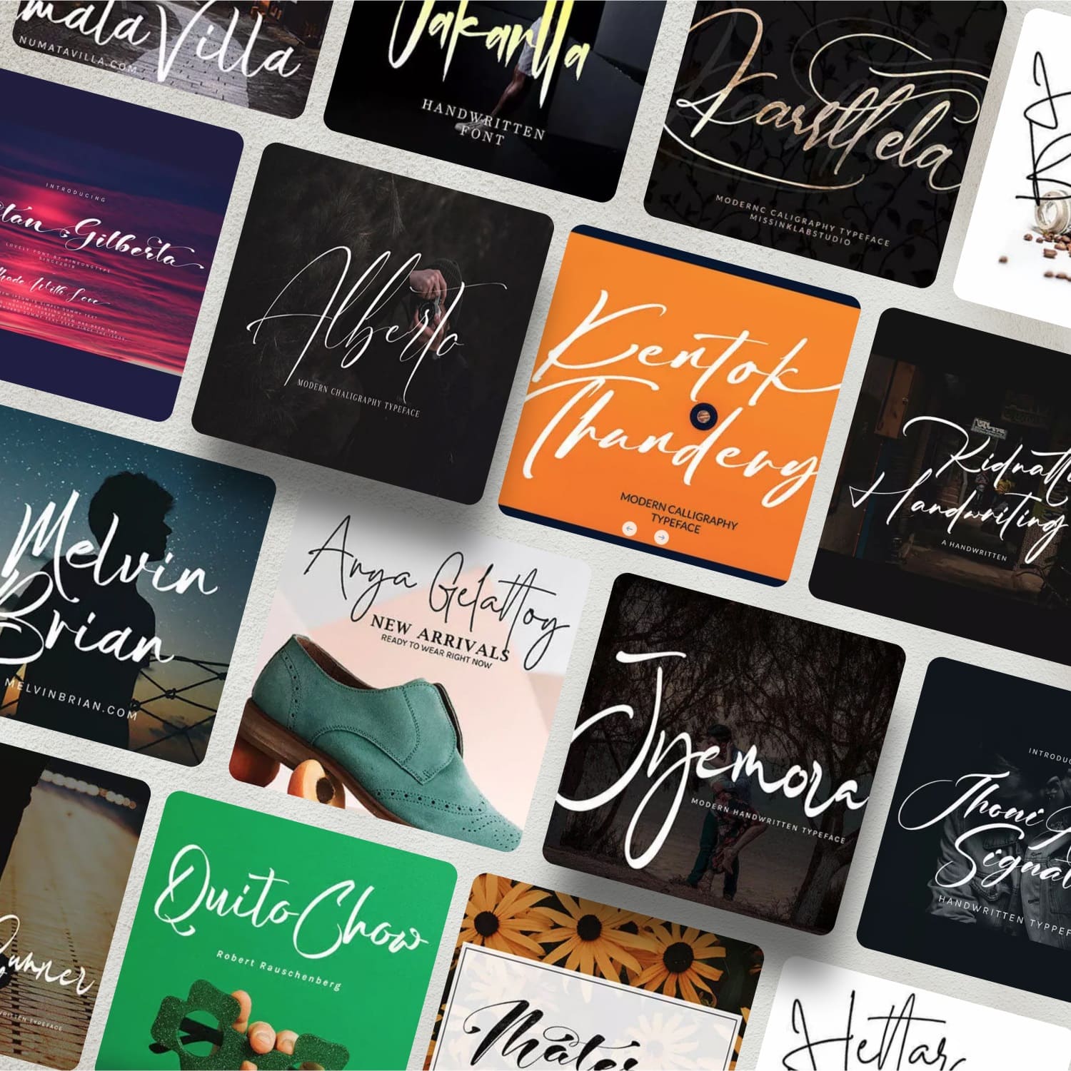 Trendy script fonts bundle preview.