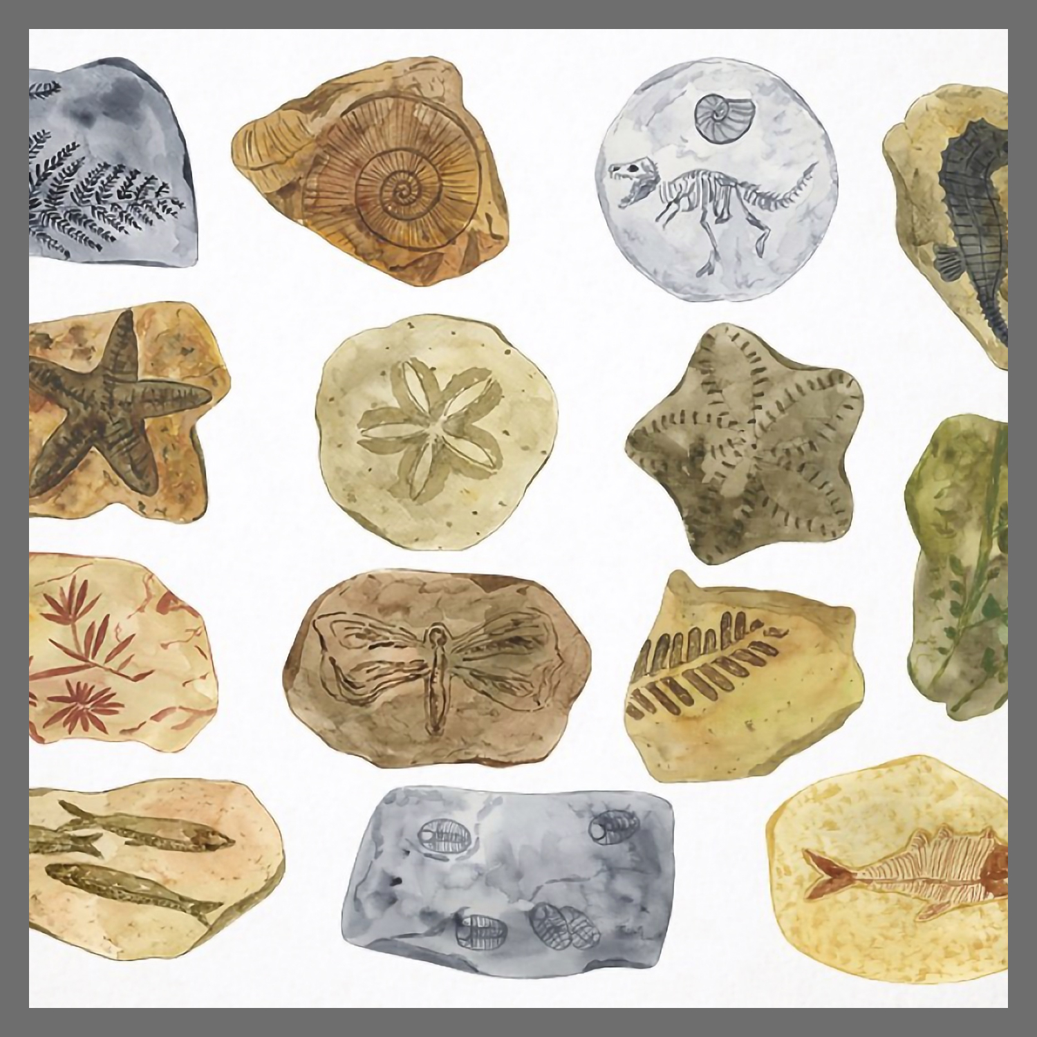 Prints of watercolor fossils clipart.