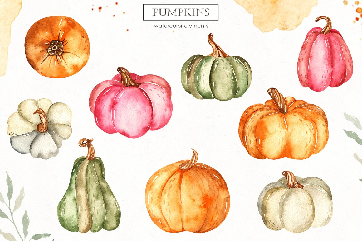 Different pumpkins in shape and color.
