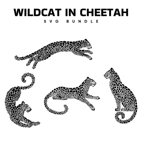 5 Wildcat in Cheetah SVG.