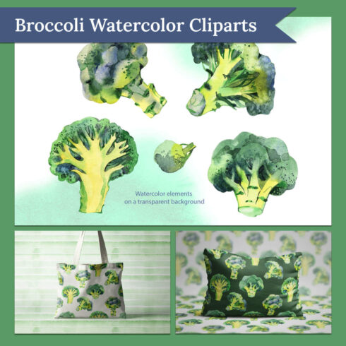Watercolor elements of broccoli on a transparent background.