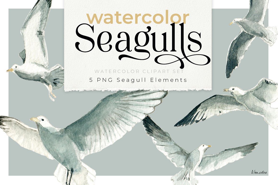 Title page with the name of the seagull package.