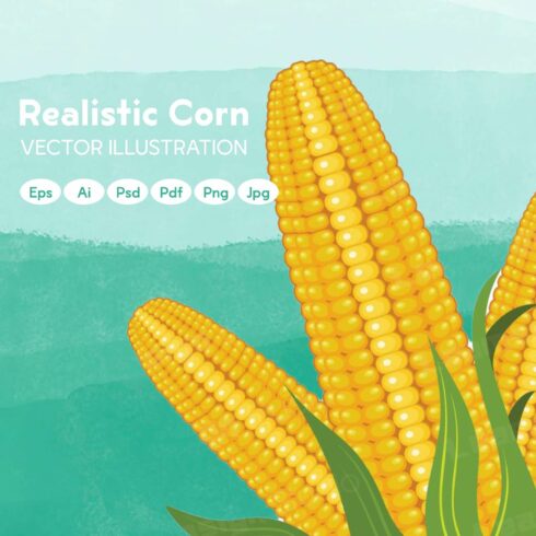 Vector Illustration - Realistic Corn.