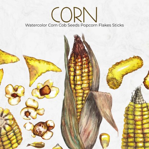 Watercolor Corn Cob Seeds Popcorn Flakes Sticks Chips PNG.