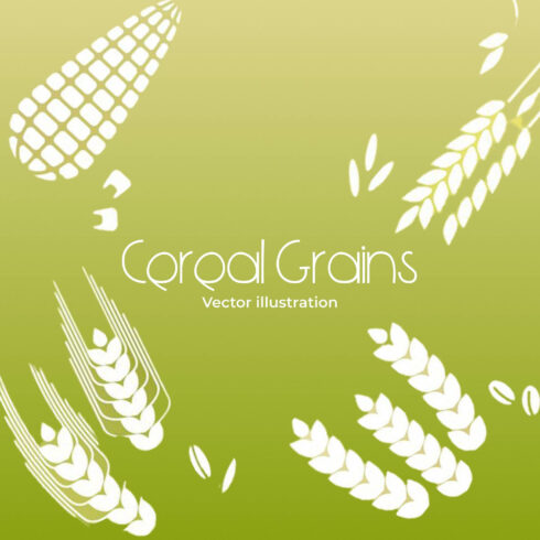 White Cereal Grains Icons.