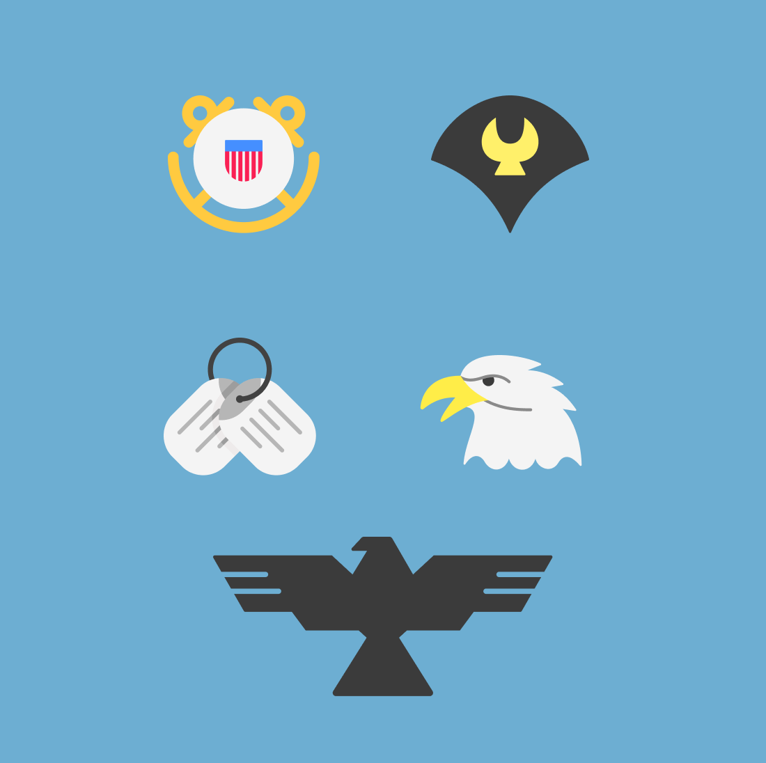 Eagle, cornrows and other symbols of the Air Force veteran SVG.
