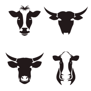 4 Cow Head SVG Designs – MasterBundles