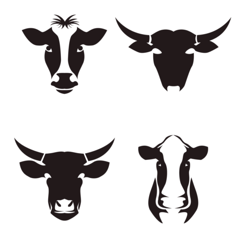 4 Cow Head SVG Designs | Master Bundles