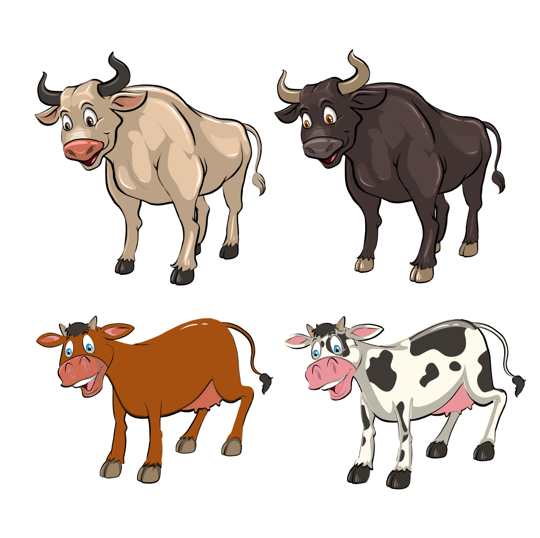 Multicolored young cows.