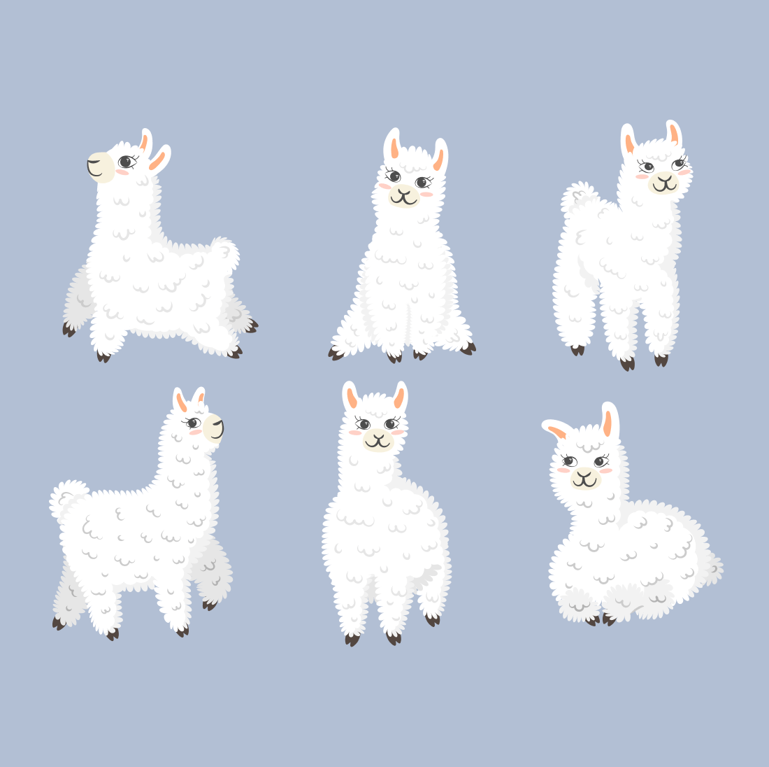 Group of white llamas on a blue background.