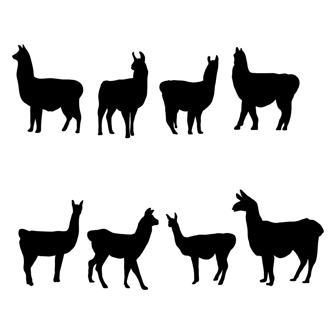 Group of llamas silhouetted against a white background.