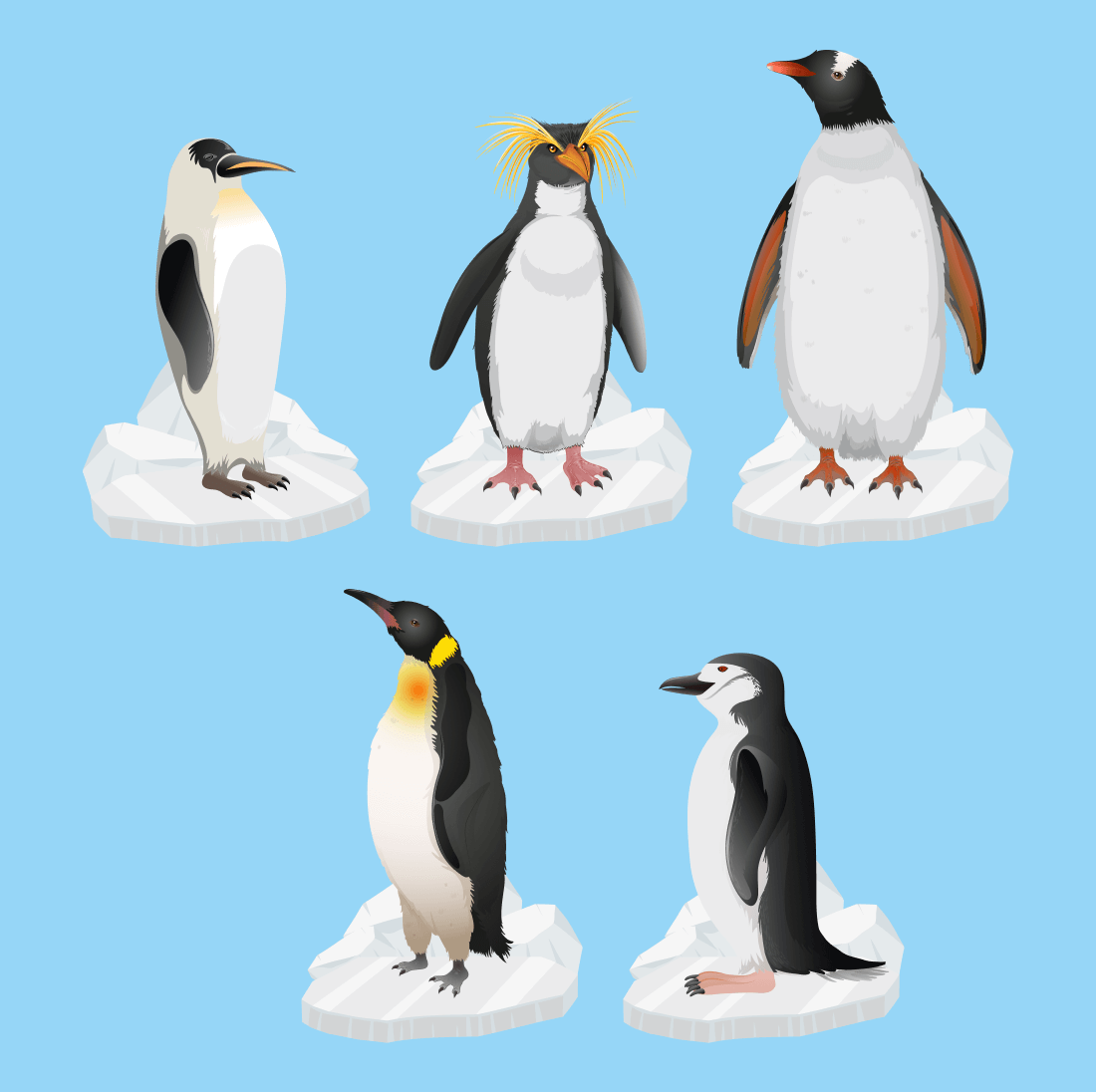 Realistic image of penguins.
