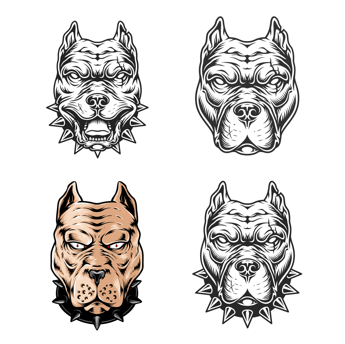 Set of four pitbull heads on a white background.