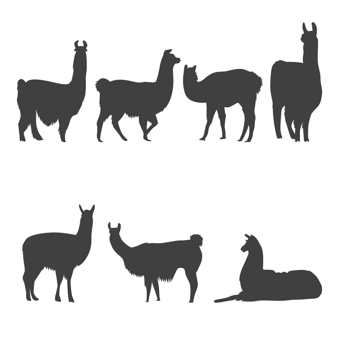 Llamas and llamas silhouettes on a white background.