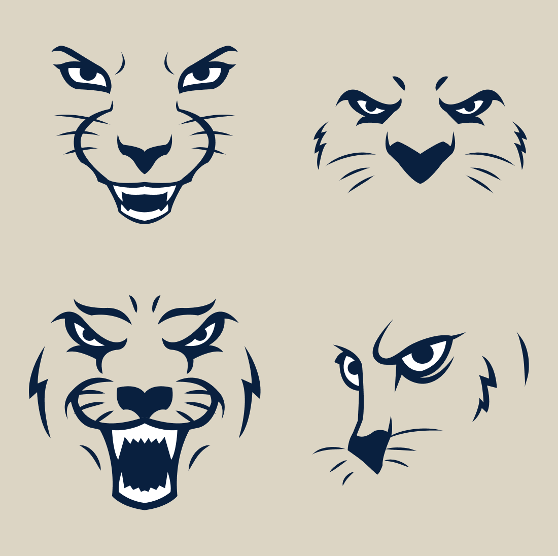 Set of four different types of cats'faces.