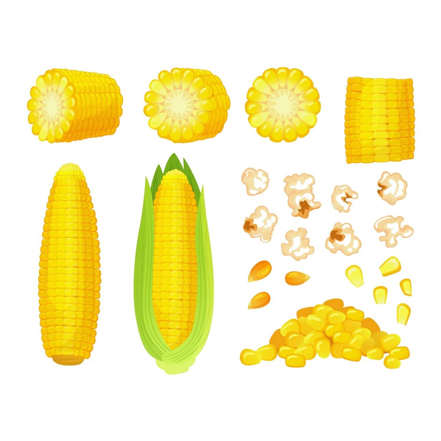 Popcorn, corn kernels, corn cobs on a white background.