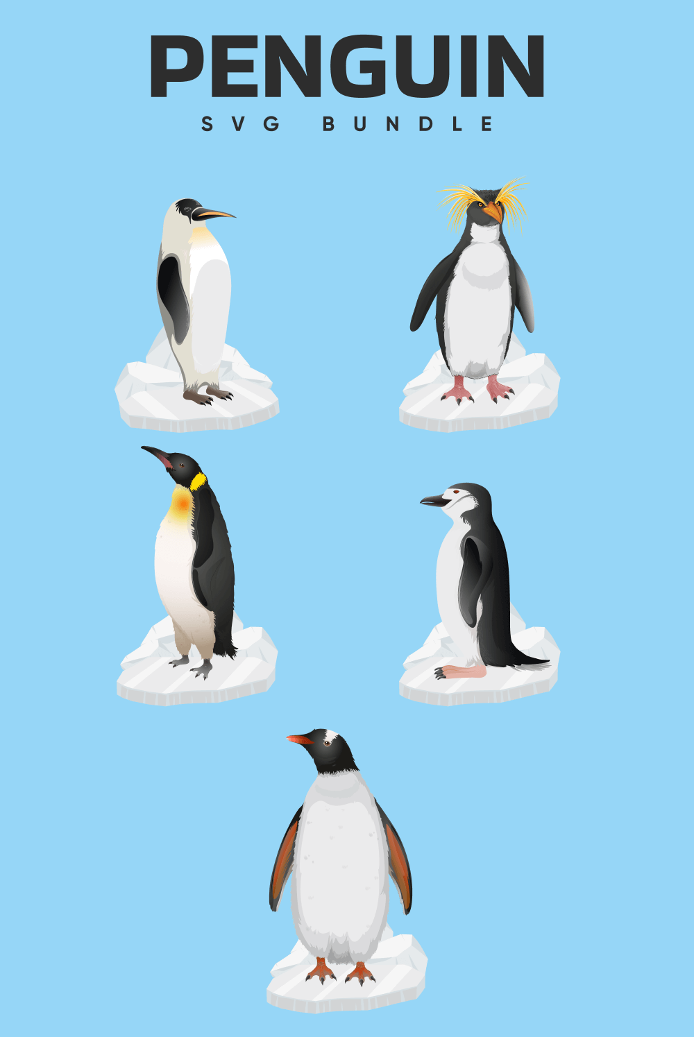 King and other penguins on a blue background.