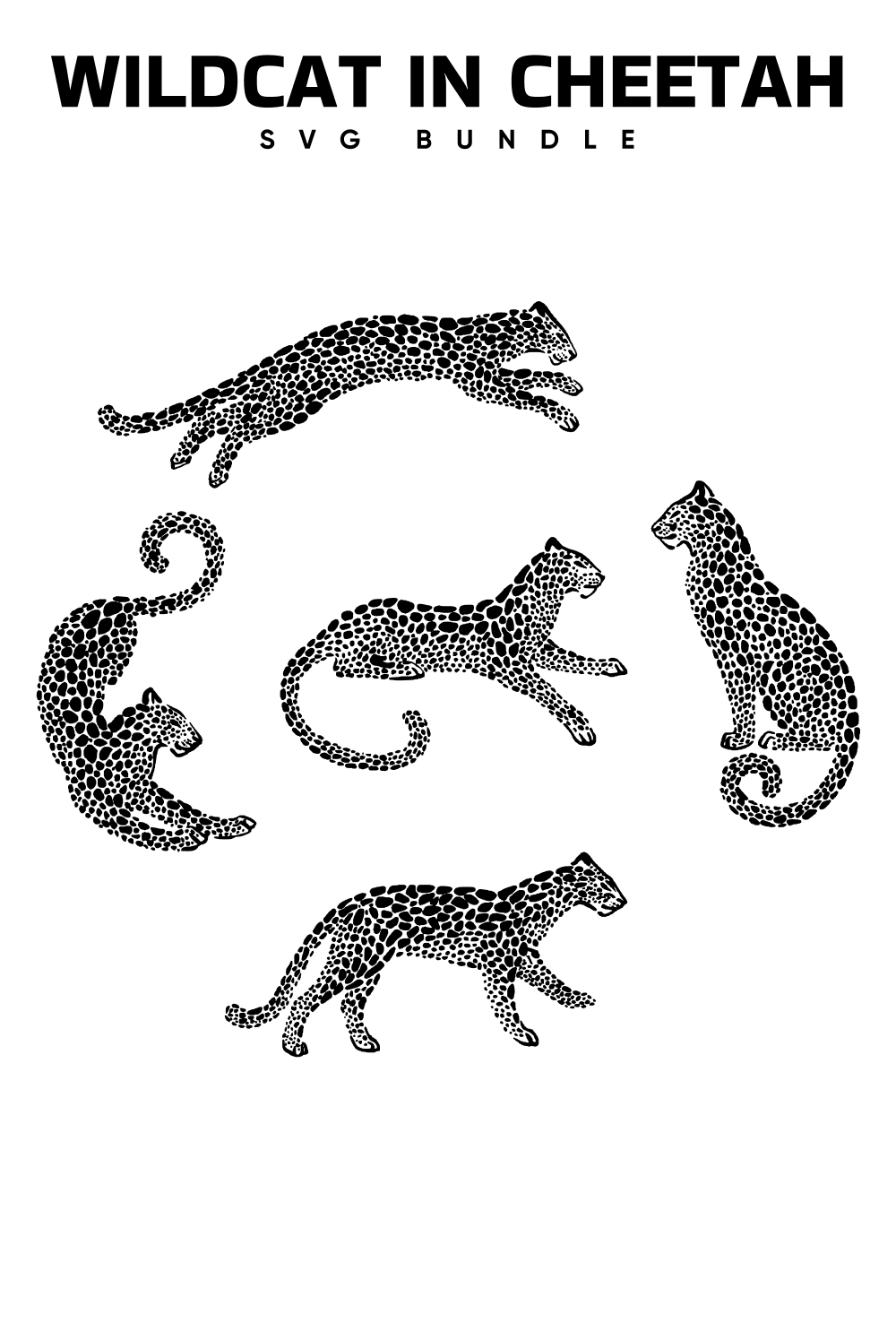 Black and white image of three cheetah.