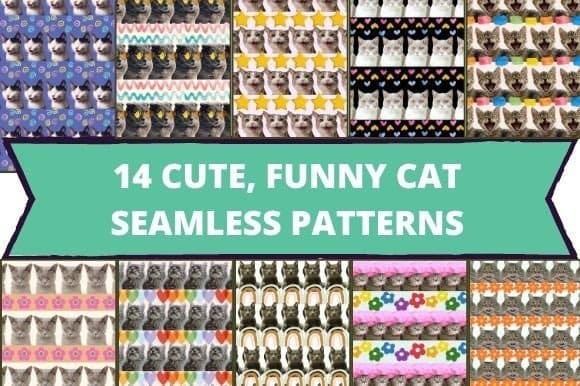 Big logo with ten cute funny cats seamless patterns.