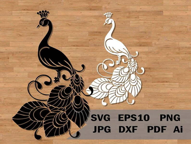 Black and white peacock on a wooden floor.