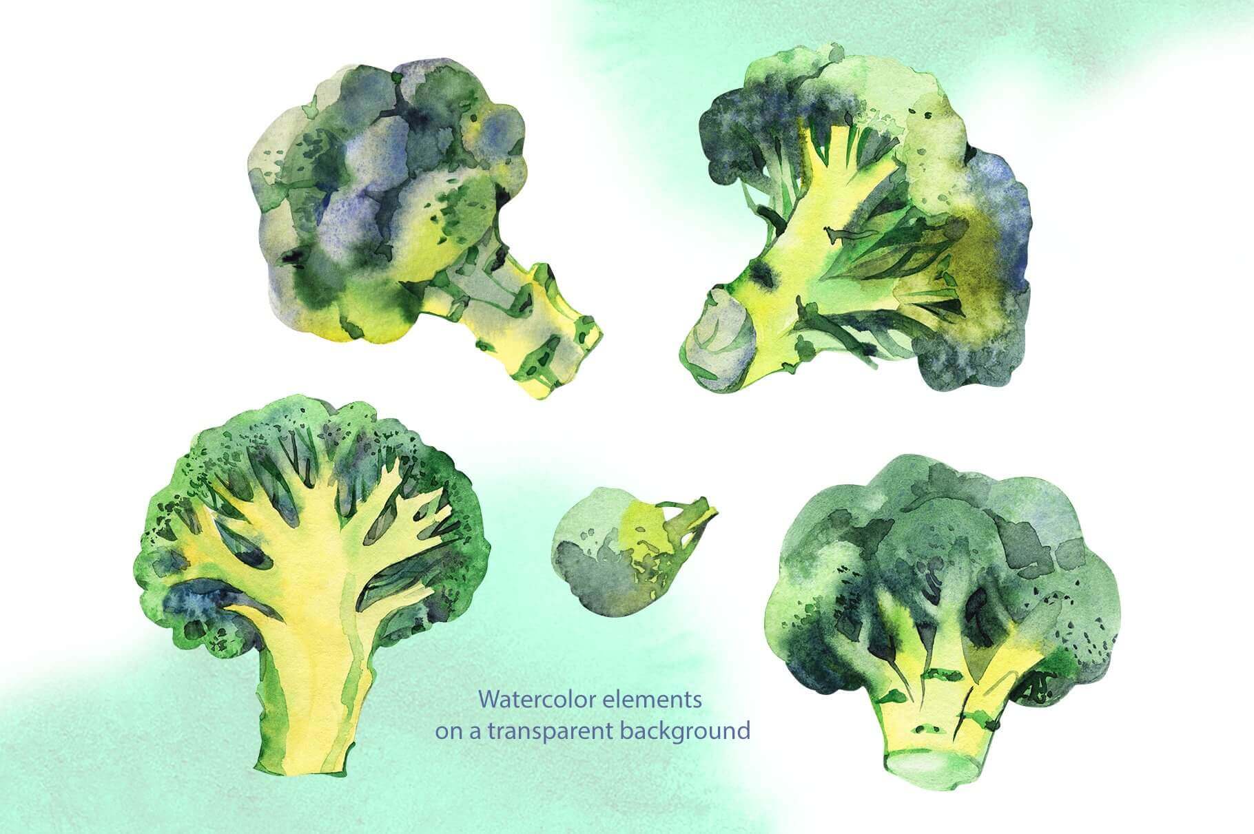 Broccoli watercolor cliparts on the white and green background.