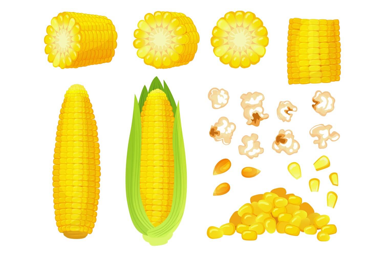 Big corn kernels drawn on cartoon corn.