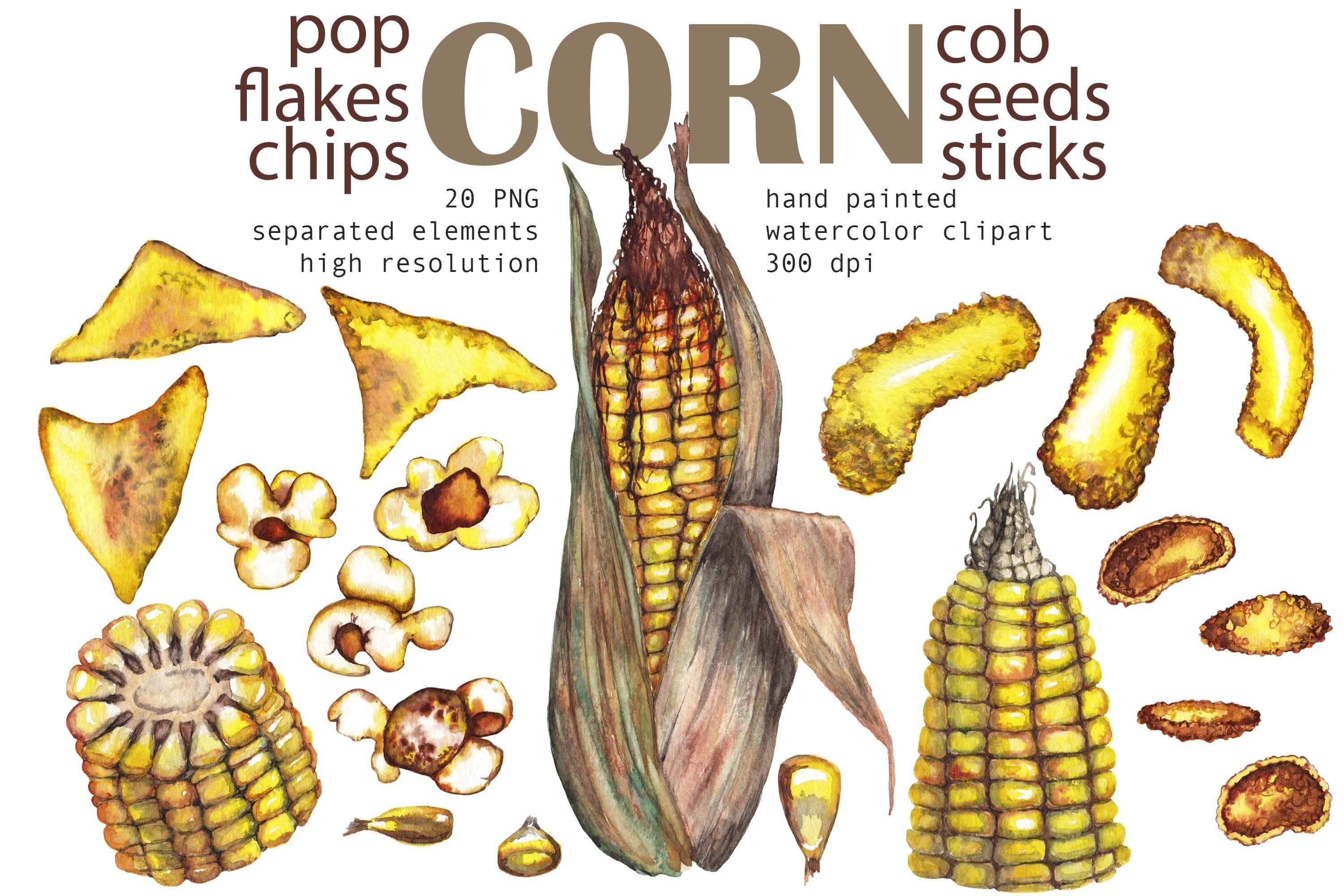 20 Corn pop, flakes and chips separated elements.