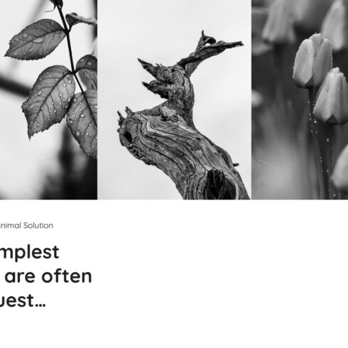 Photography Powerpoint Template Free | Master Bundles