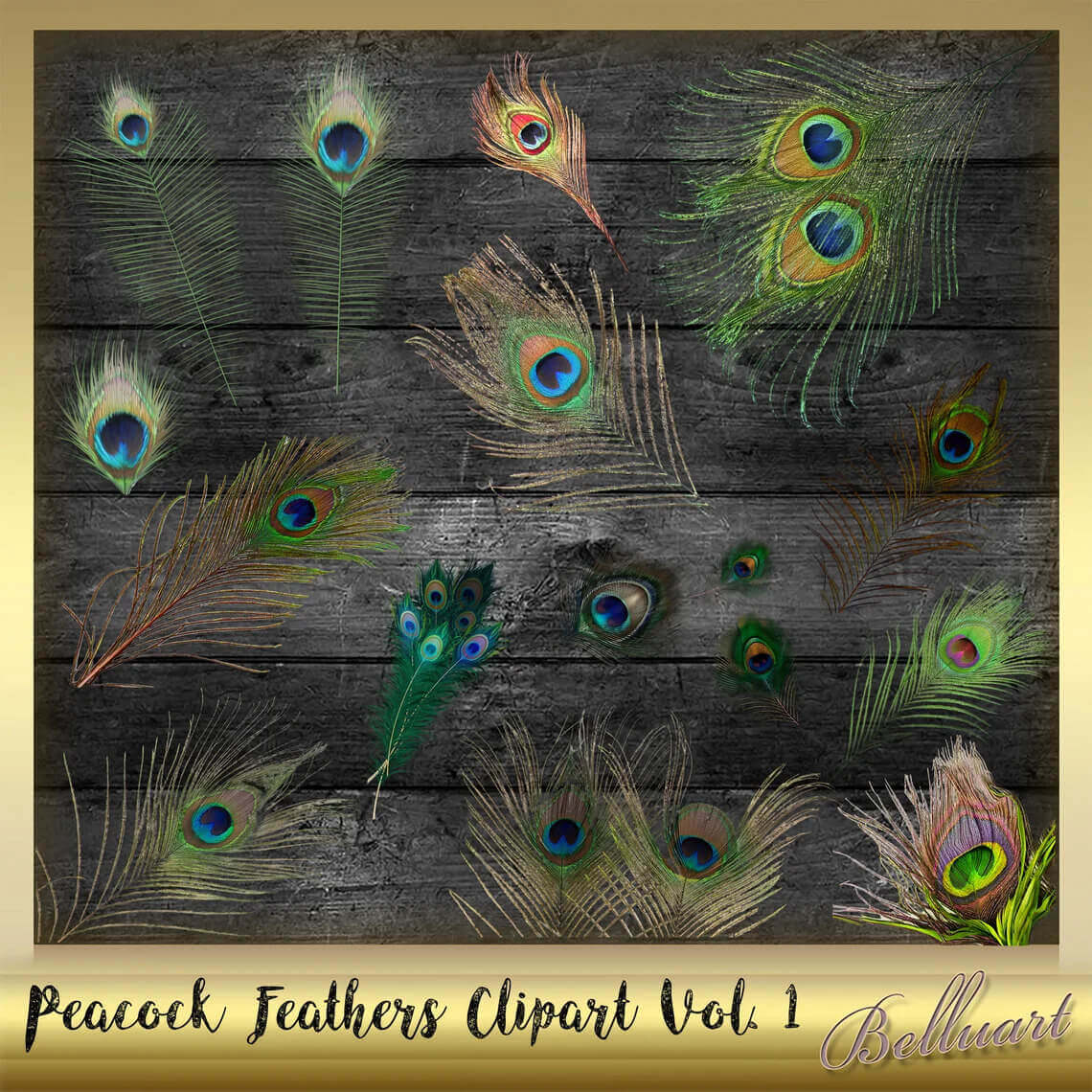 Picture of peacock feathers on a wooden background.