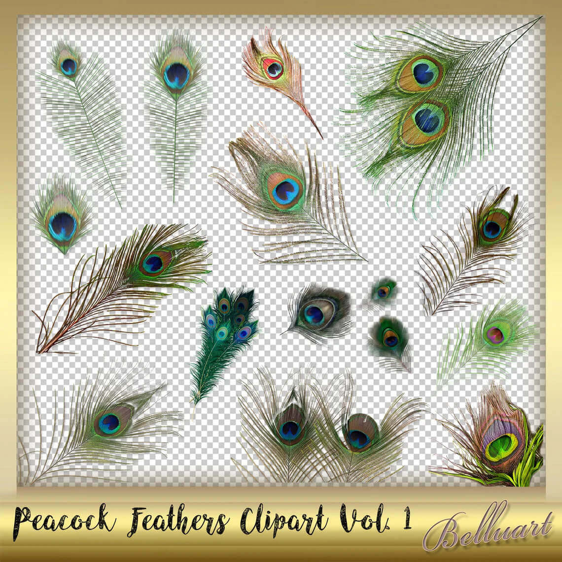 Collection of peacock feathers clipart vol 1.