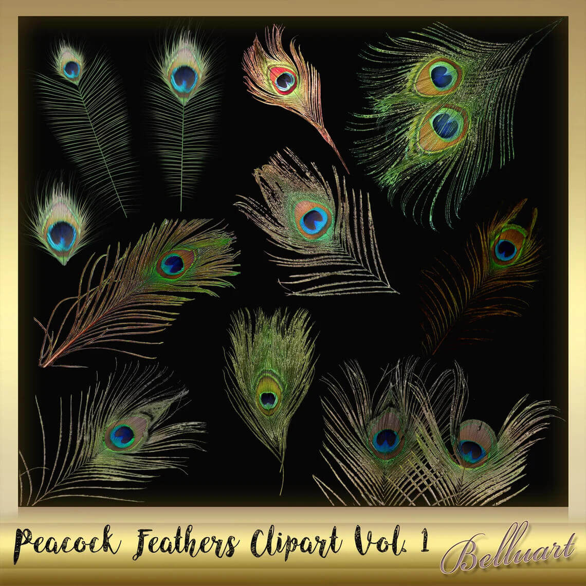 25 Peacock Feathers Clipart - Peacock Overlay - Peacock Feather Clip Art -  Peacock Graphics - Instant Download - Peacock PNG – MasterBundles