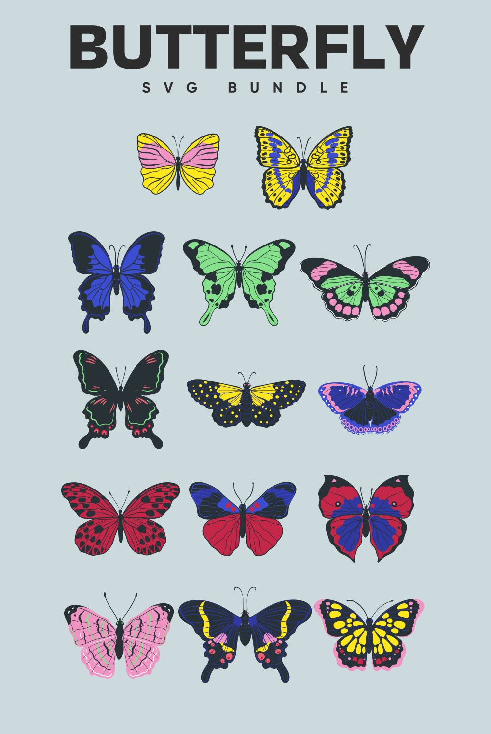 Bunch of butterflies with different colors on them.