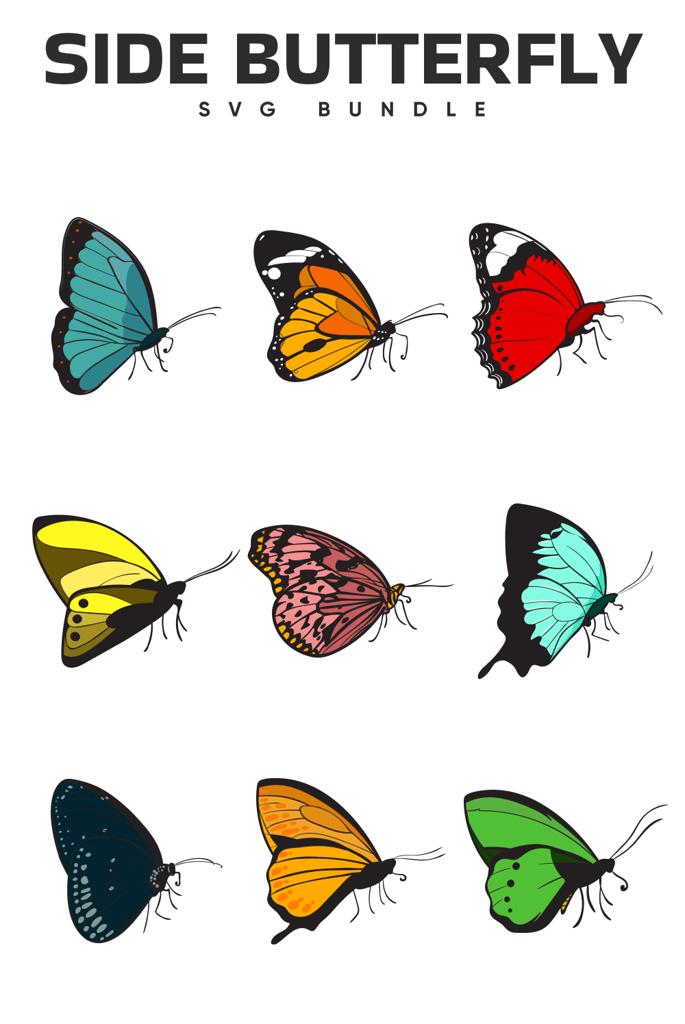 Group of colorful butterflies sitting on top of each other.
