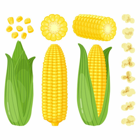 Variants of dishes from corn.