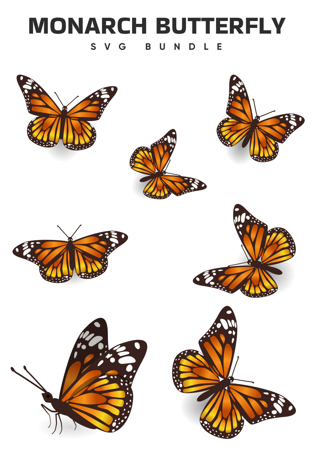 Bunch of butterflies flying in the air.