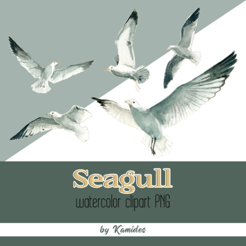 Prints of seagull watercolor clipart.