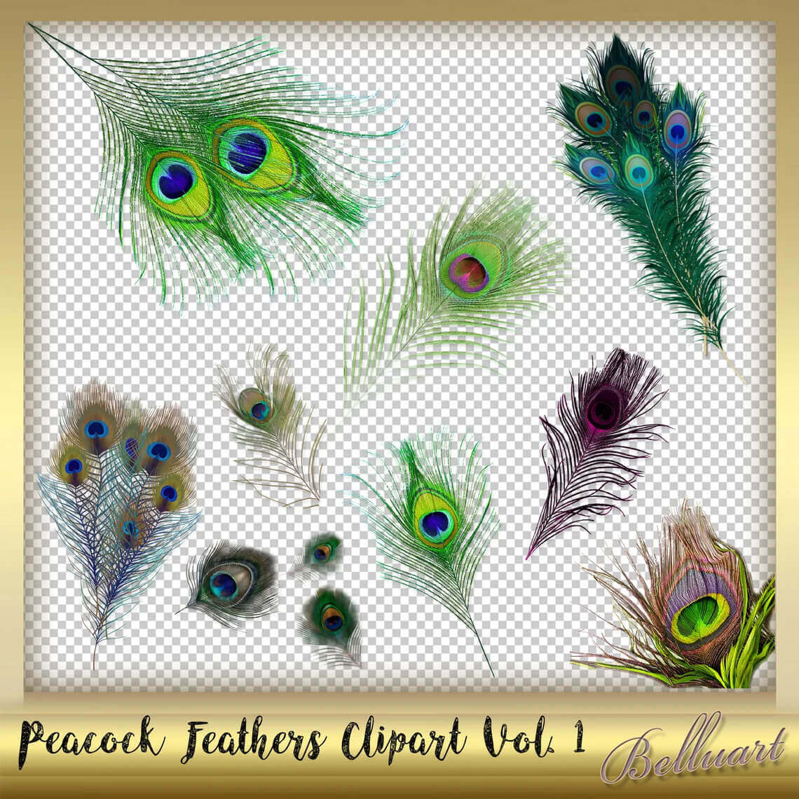 Collection of peacock feathers clipart vol 1.