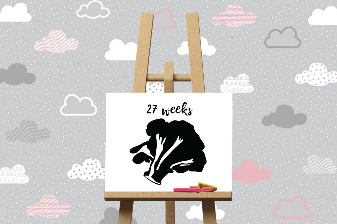 Black broccoli is drawn on a white easel and 27 weeks is written.