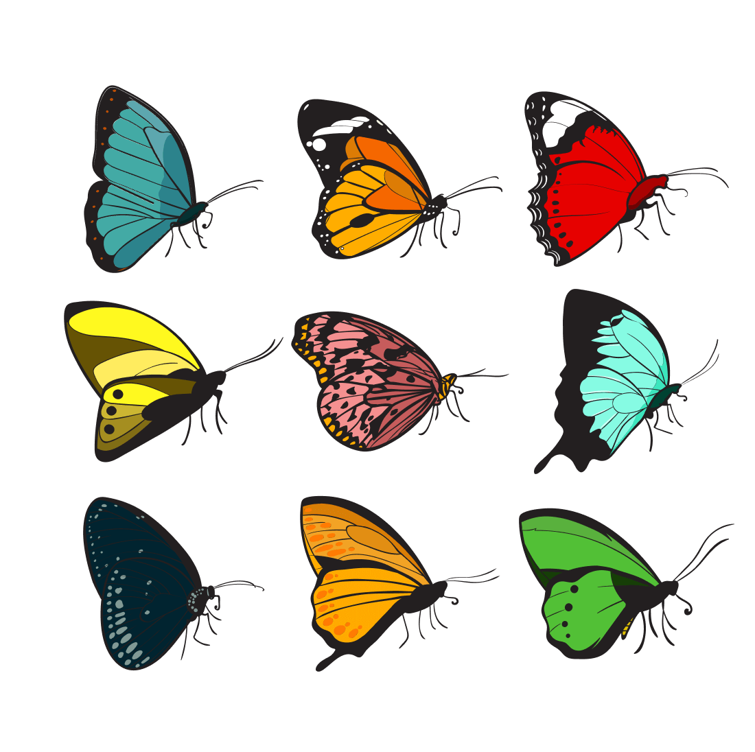 Group of colorful butterflies on a white background.
