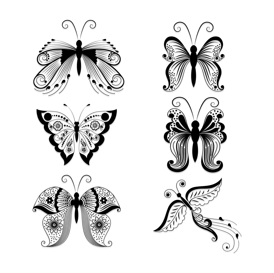 Set of four different butterflies on a white background.