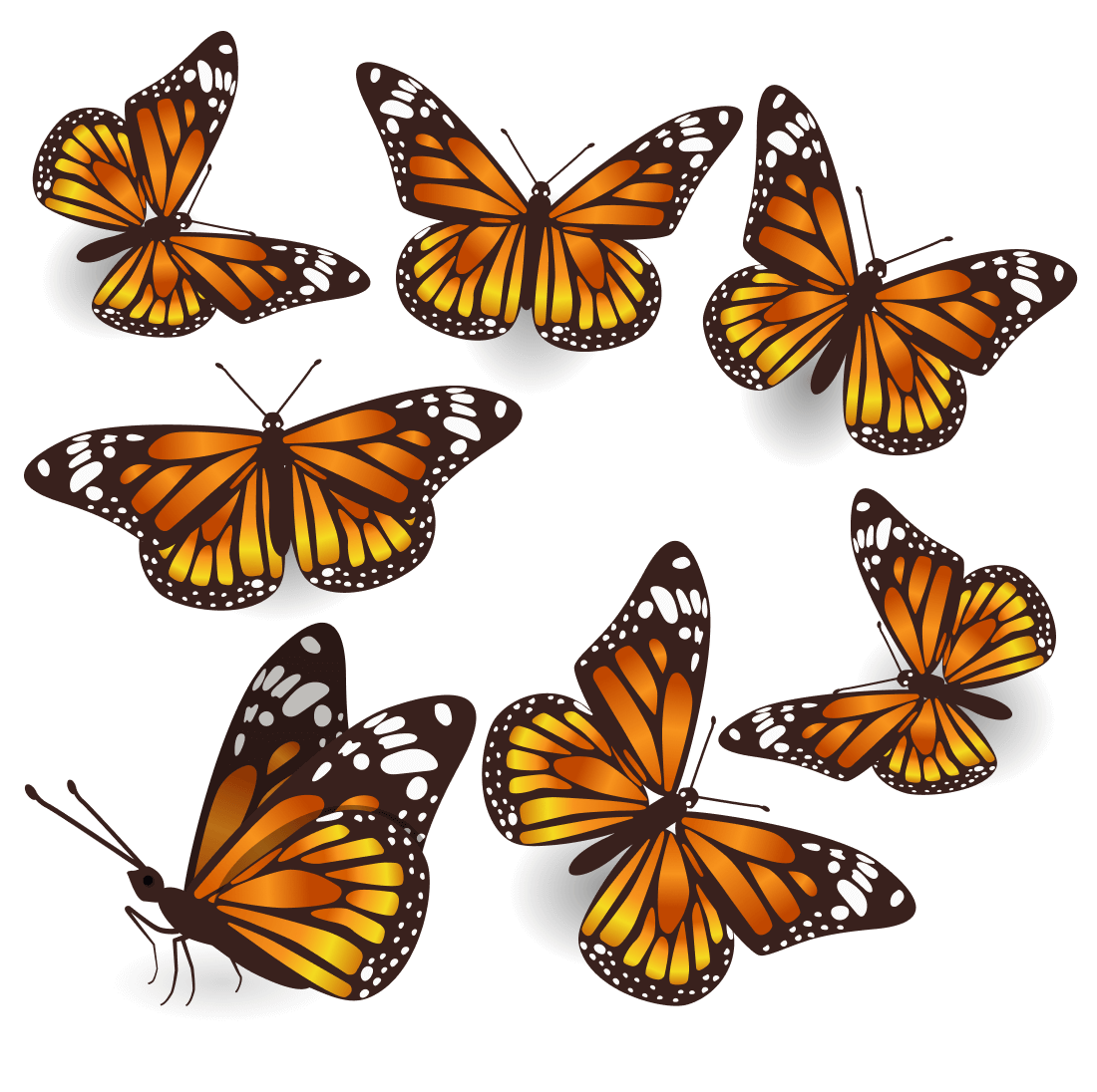 Group of orange butterflies on a white background.