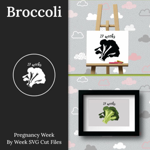 Broccoli pregnancy week by week SVG Cut Files.